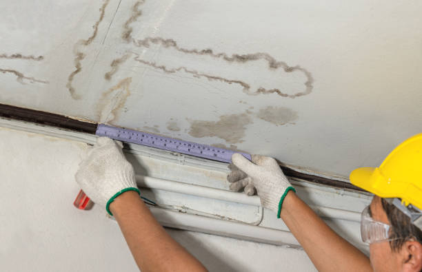 Reliable Emergency Water Damage Restoration contractor in North Andover, MA by Water Damage Irwin